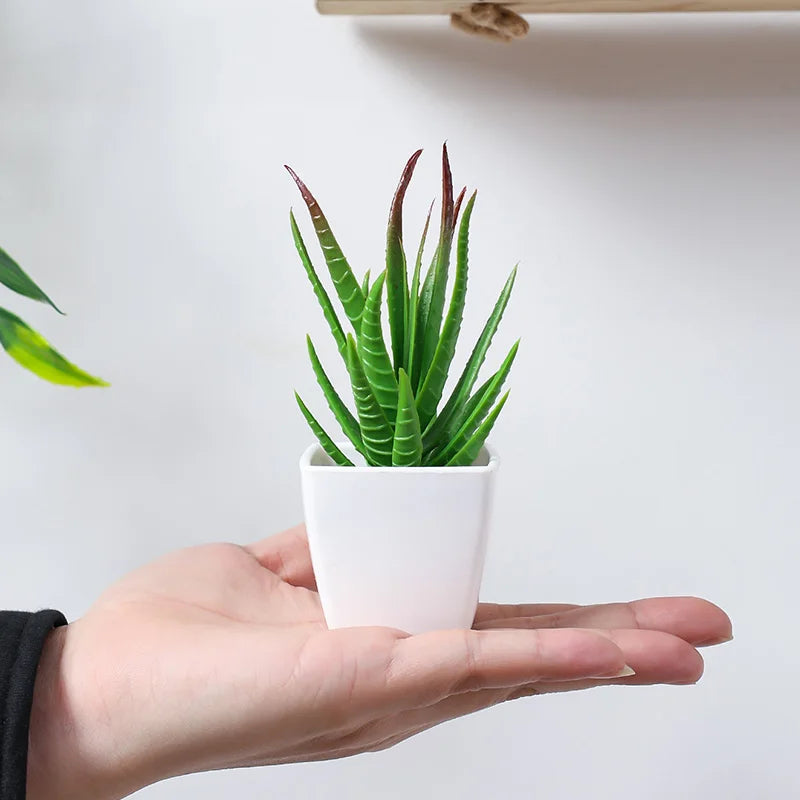 Set of 3 Artificial Succulent Plants – Realistic Mini Potted Greenery for Home, Office & Desktop Decoration