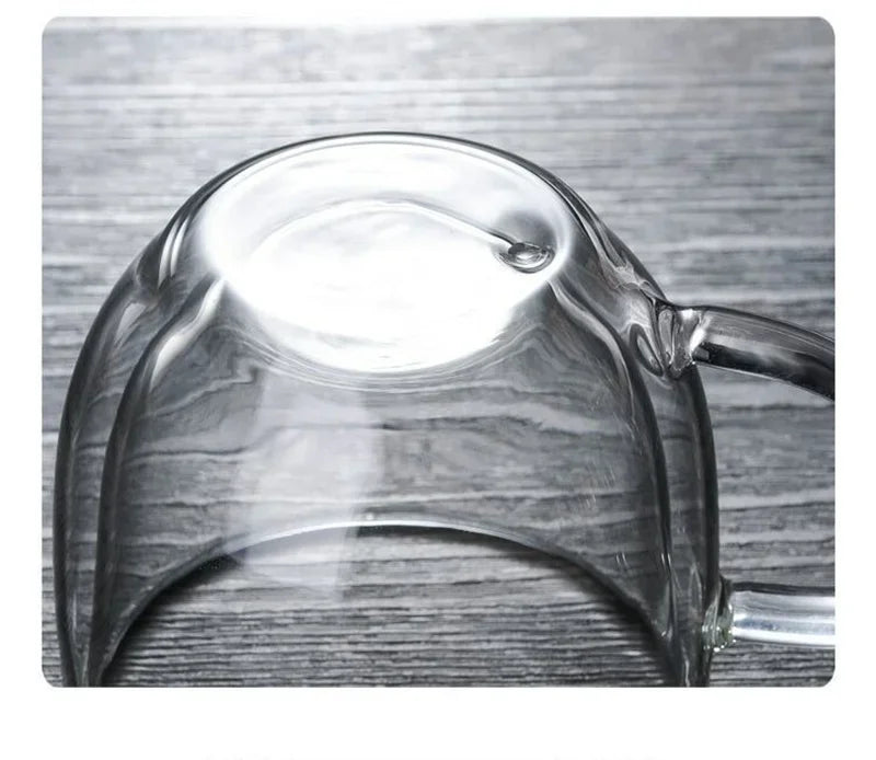 Double Wall Insulated Glass Coffee Mug – Hot & Cold Drinks