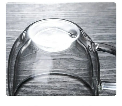 Double Wall Insulated Glass Coffee Mug – Hot & Cold Drinks